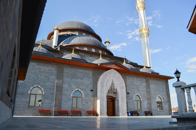 Erzurum’un plaka kodu nedir?