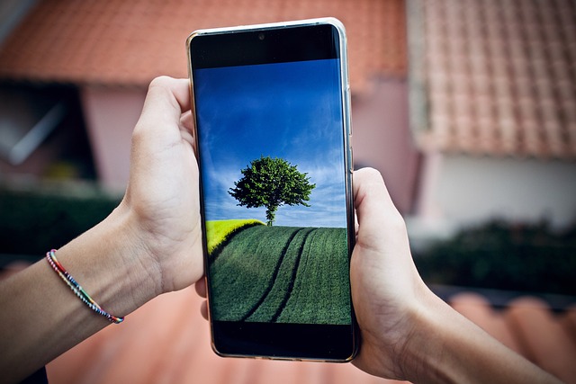 Yalova’nın telefon alan kodu nedir?