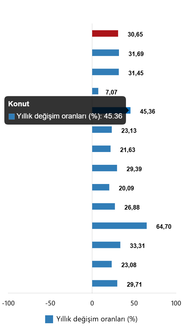tuketici-fiyat-endeksi-ocak-2026-1-SQdq7mfi Tüketici Fiyat Endeksi, Ocak 2026