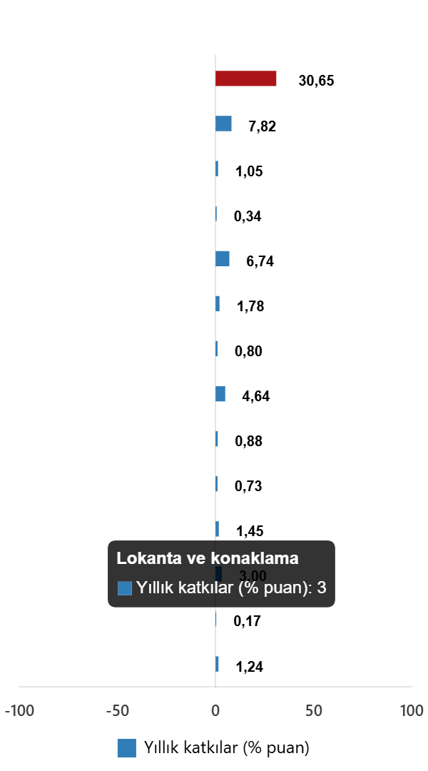 tuketici-fiyat-endeksi-ocak-2026-2-TncpqFA7 Tüketici Fiyat Endeksi, Ocak 2026